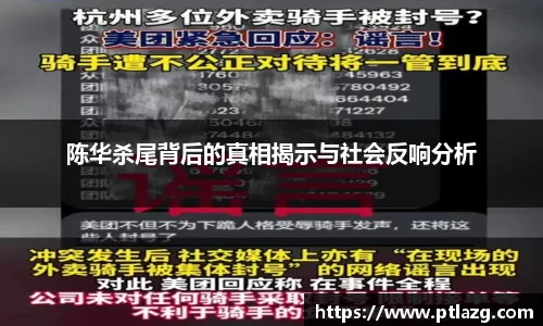 陈华杀尾背后的真相揭示与社会反响分析