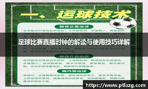 多宝体育官网版