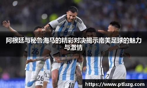 多宝体育官网版